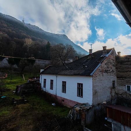 Castel'Or Residence Braşov Eksteriør bilde